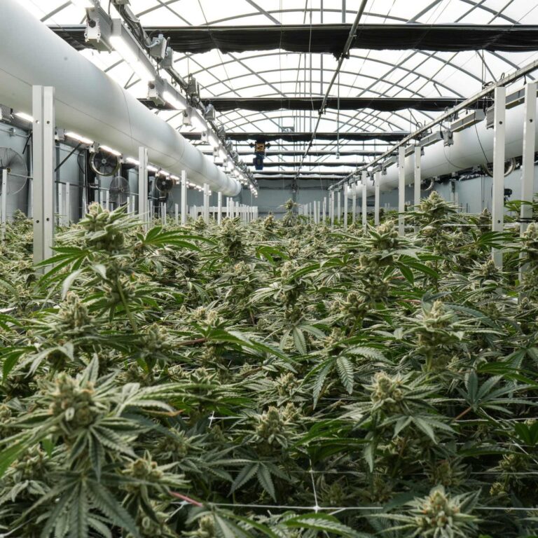 ProGuard Maintenance & Replacement Parts | Keep Systems Optimal