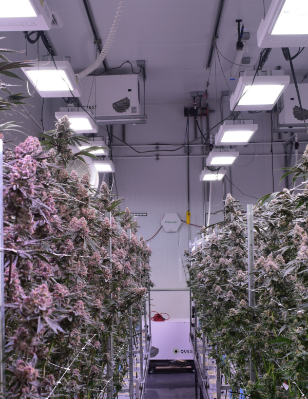 ProGuard Maintenance & Replacement Parts | Keep Systems Optimal